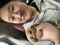 Asian woman sitting in a car wearing a gray jacket and holding an adorable puppy. 