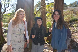 Making friends among the redwood trees.